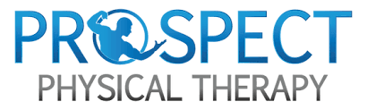 1 Prospect Physical Therapy Llc